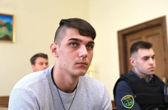 Slika članka