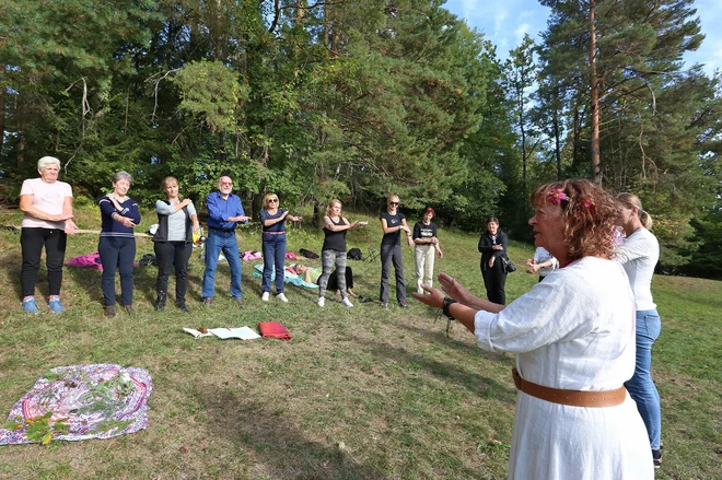Slika članka
