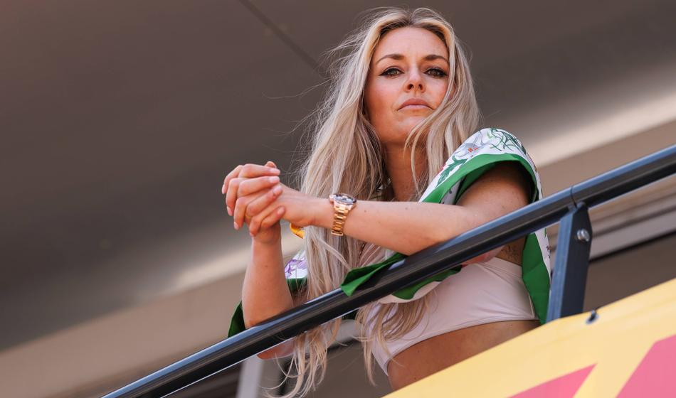 Slika članka
