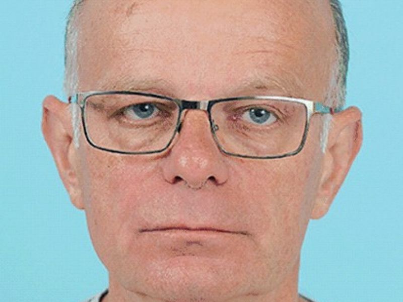 Slika članka