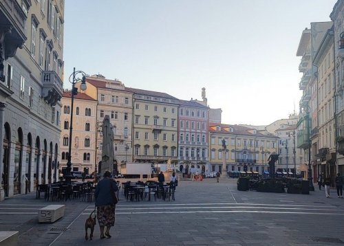 Slika članka