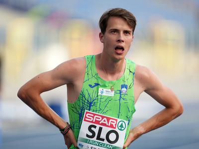 Slika članka