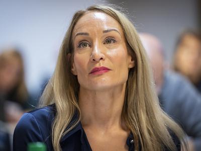Slika članka