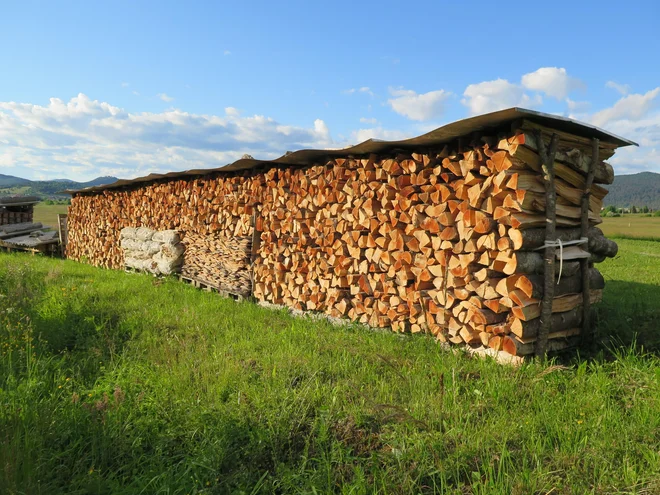 Slika članka