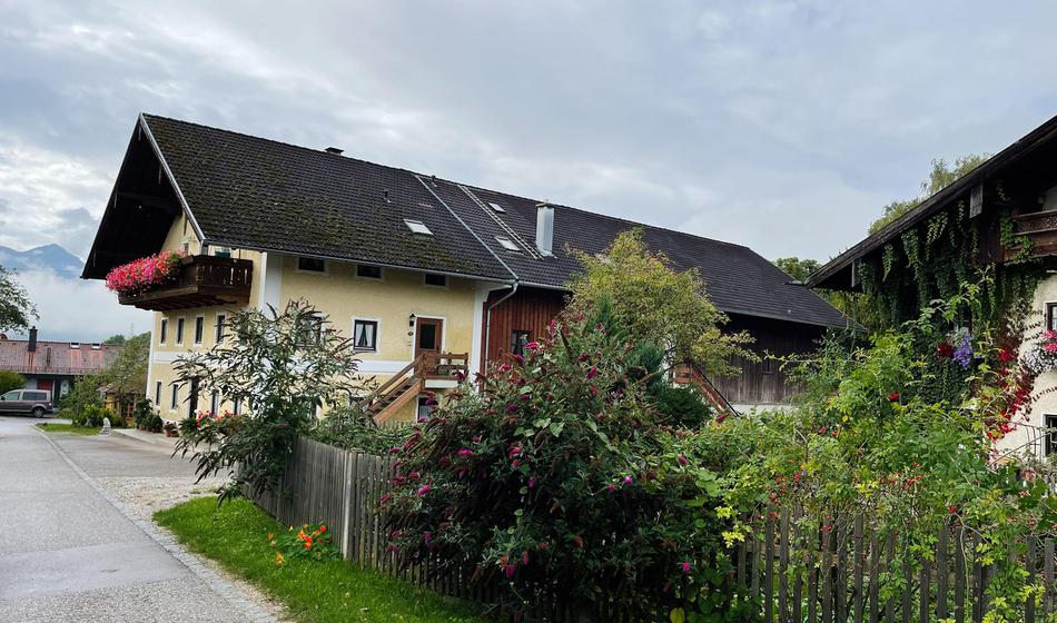 Slika članka
