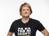 Slika članka
