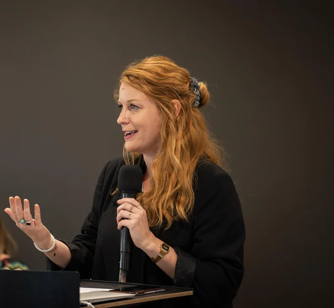 Slika članka