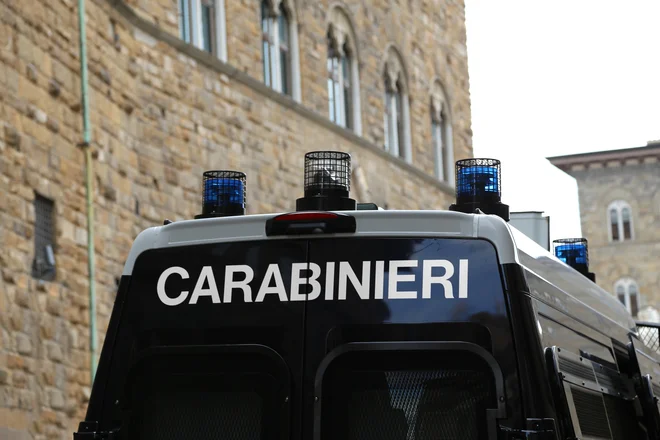 Slika članka