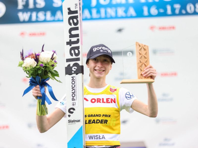 Slika članka