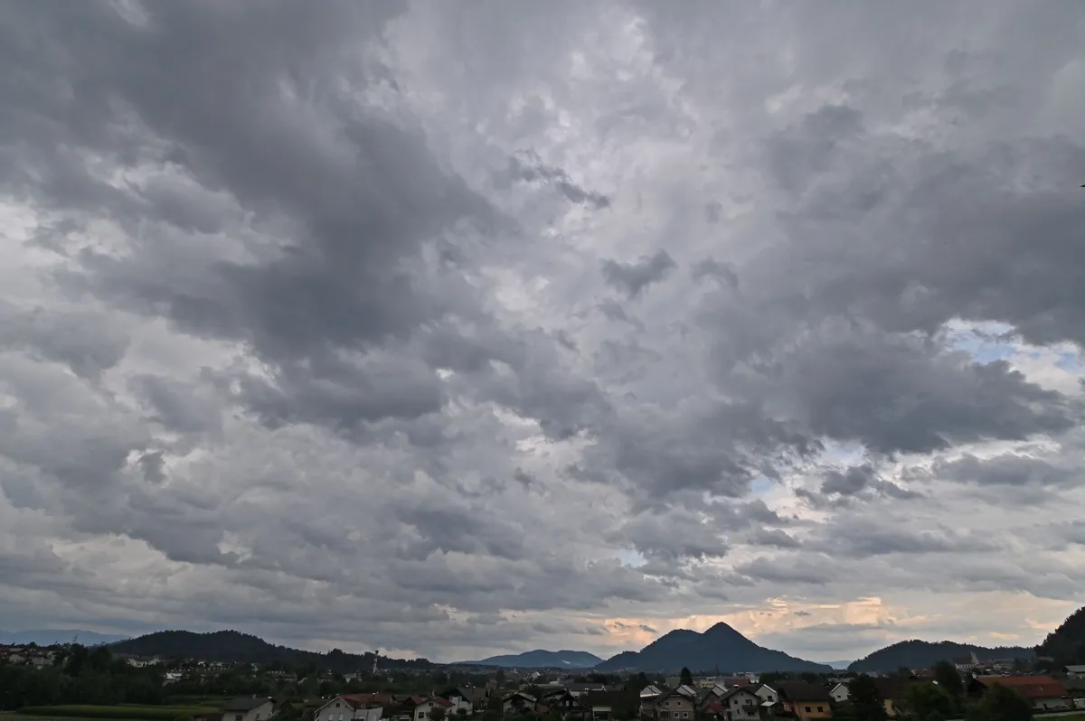 Slika članka