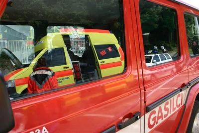 Slika članka