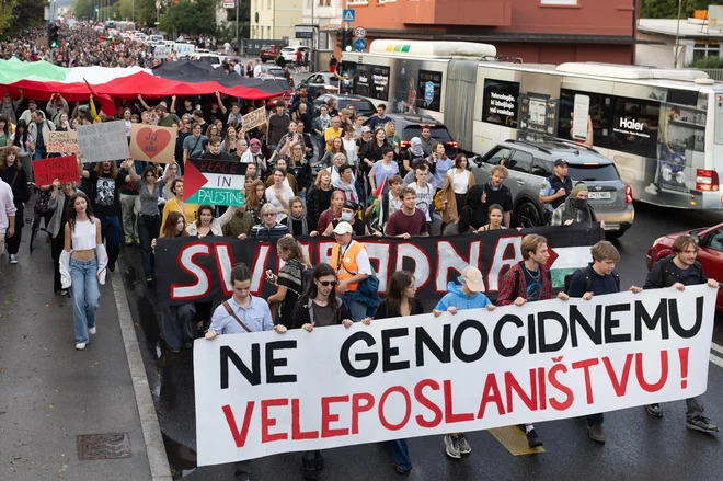 Slika članka
