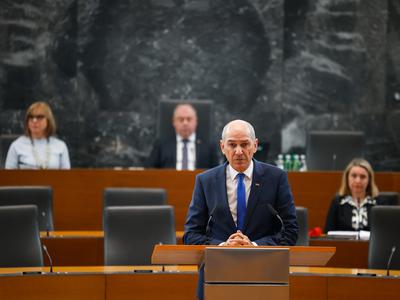Slika članka