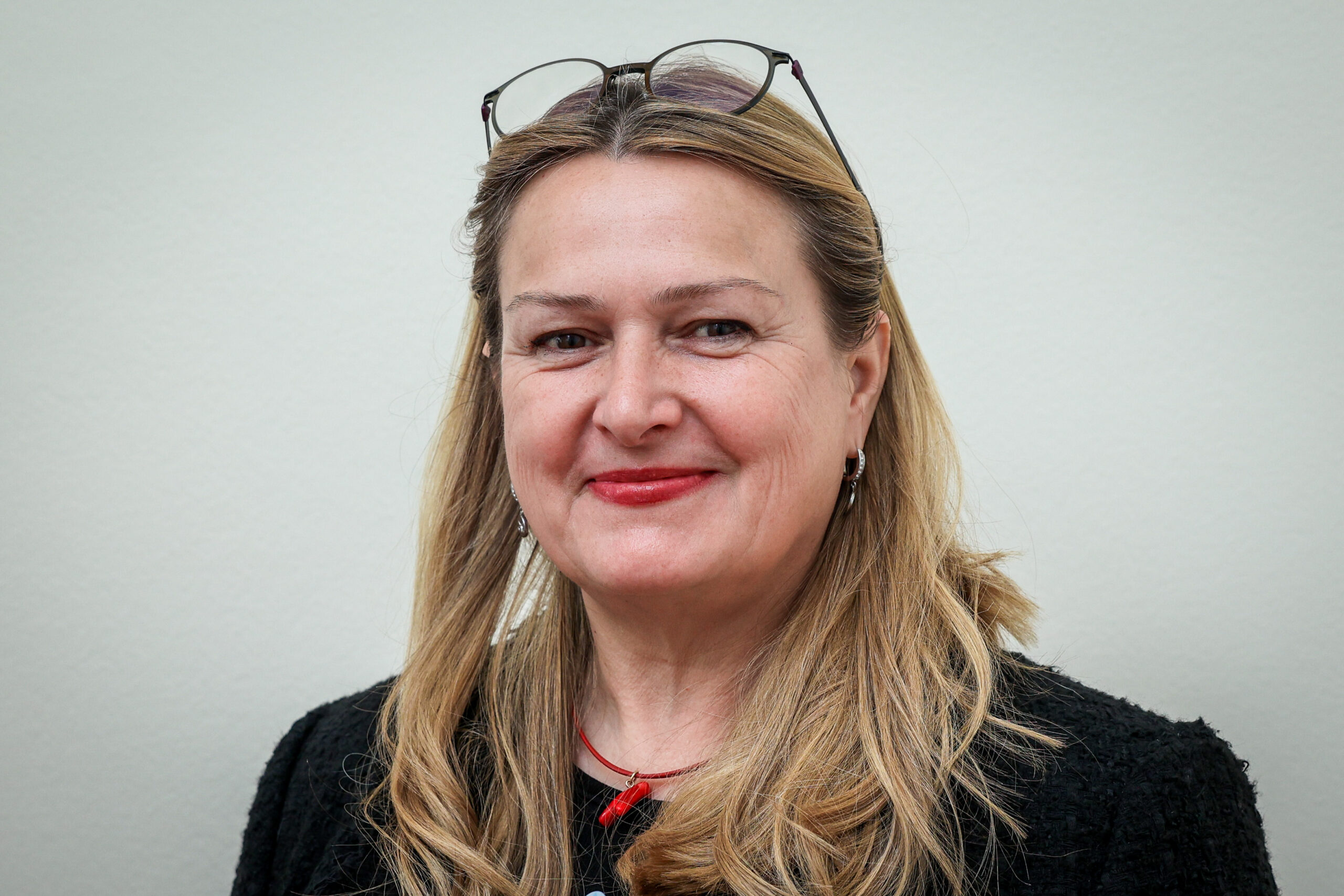 Slika članka