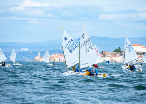 Slika članka
