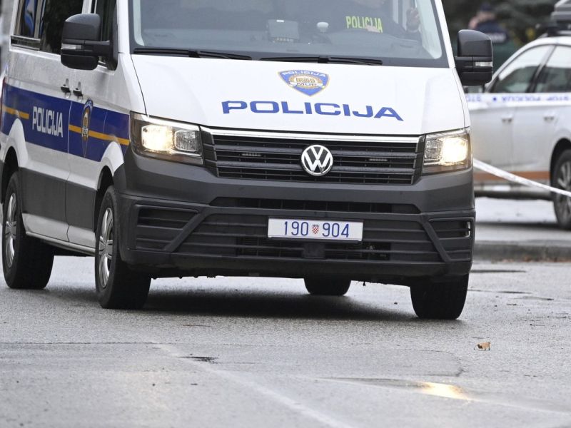 Slika članka
