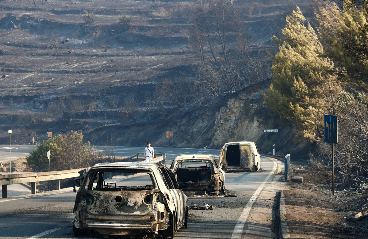 Slika članka