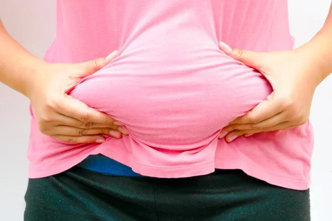Slika članka