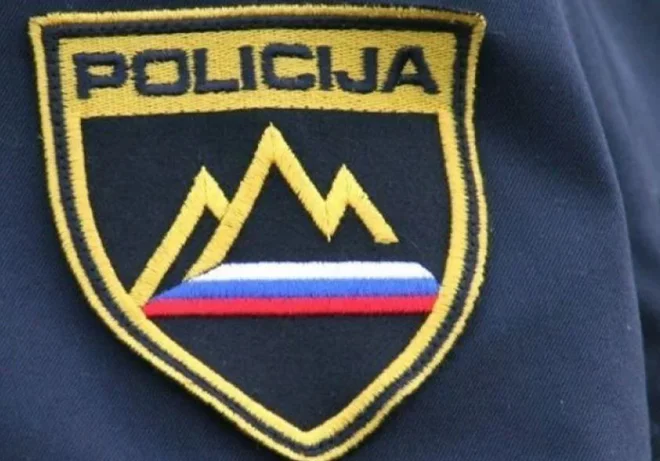 Slika članka