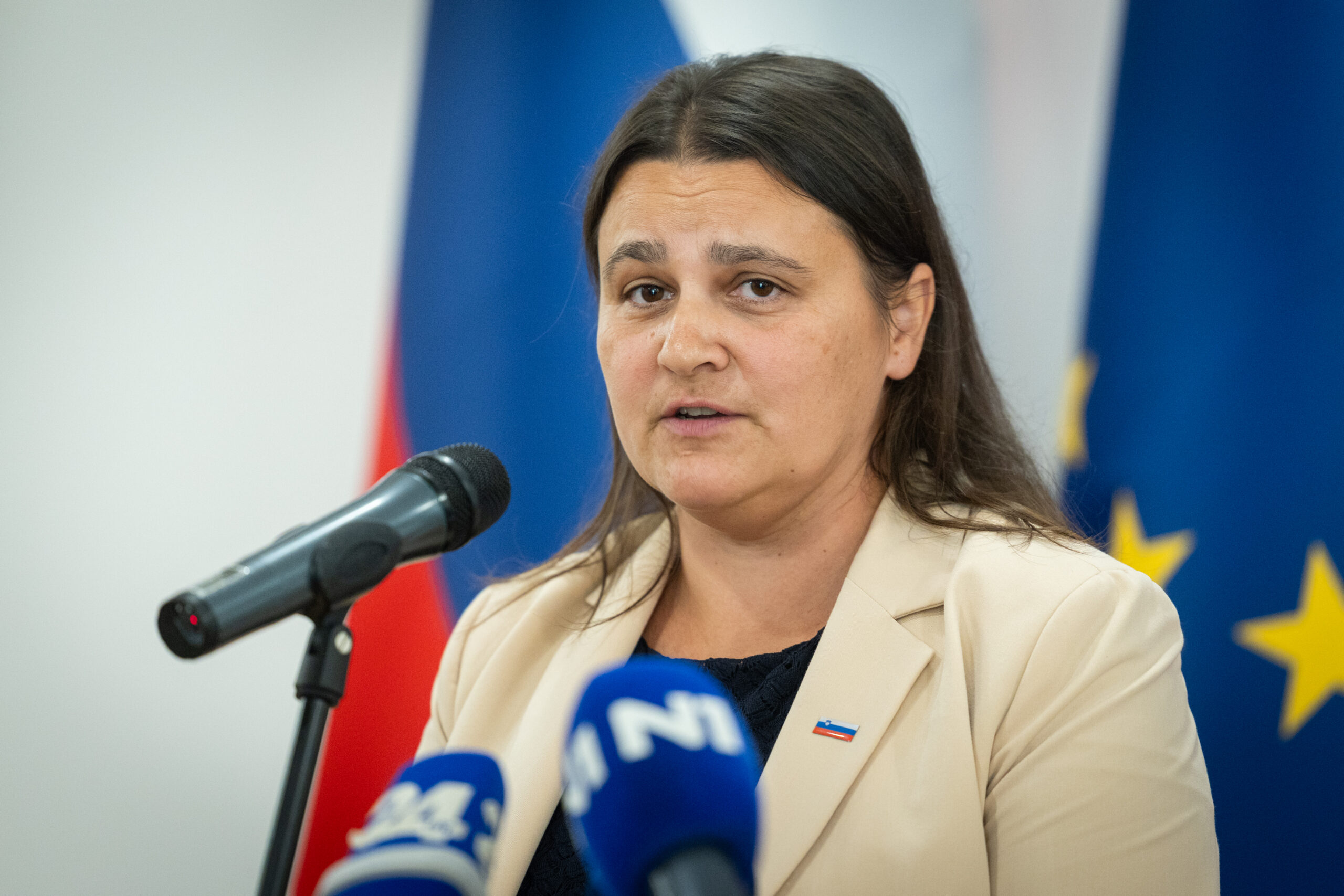 Slika članka