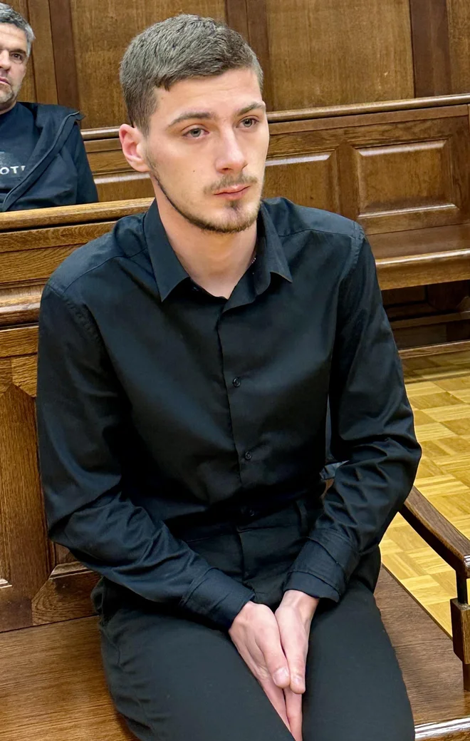 Slika članka