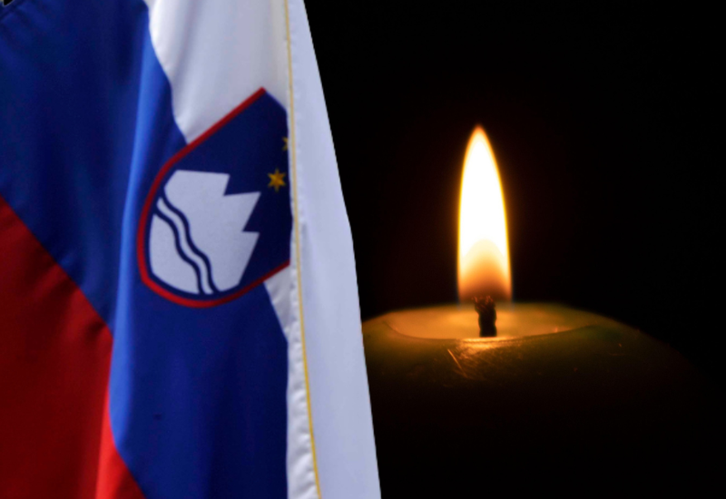 Slika članka