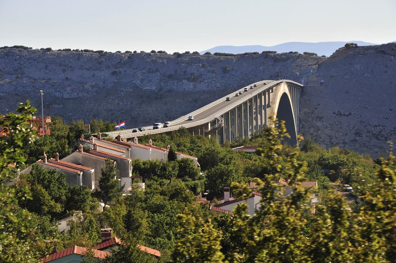 Slika članka