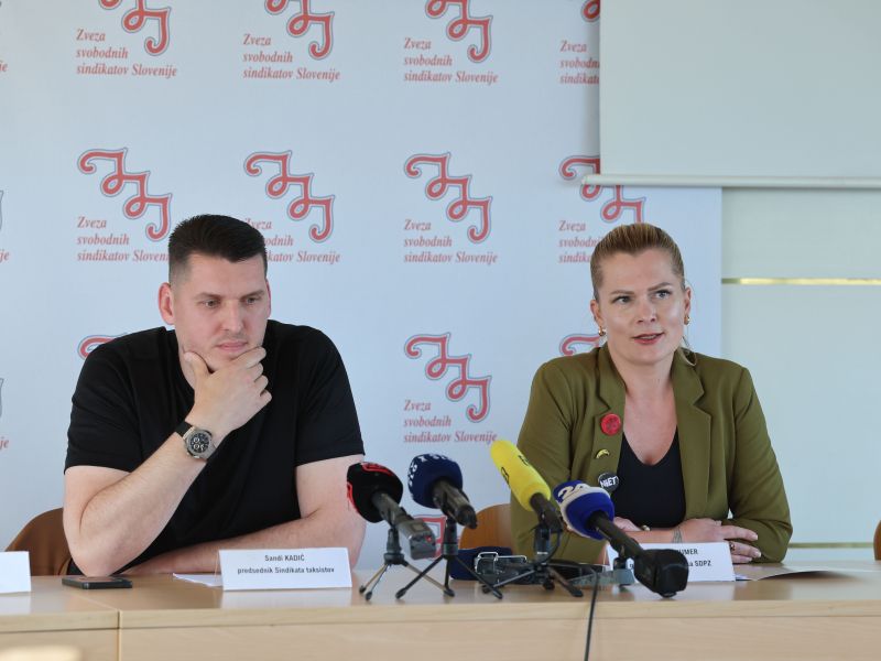 Slika članka