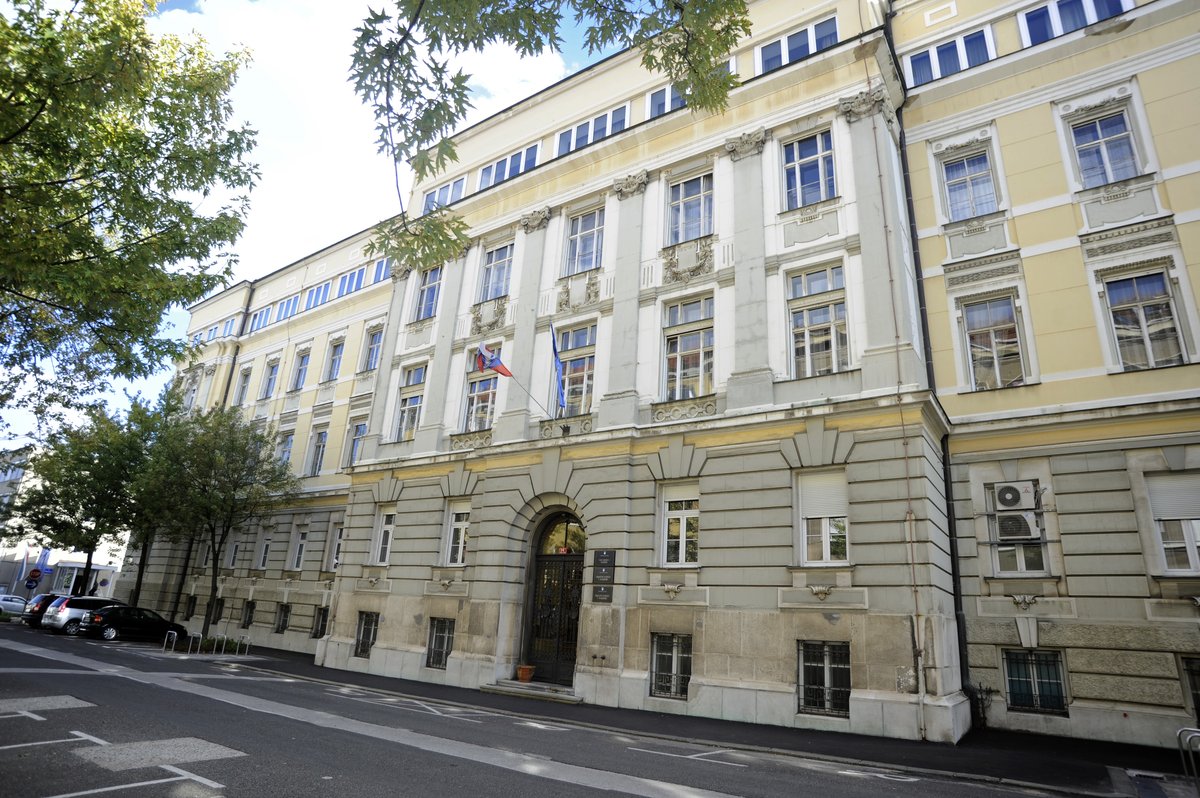 Slika članka