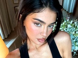 Slika članka