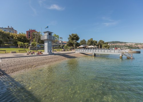 Slika članka