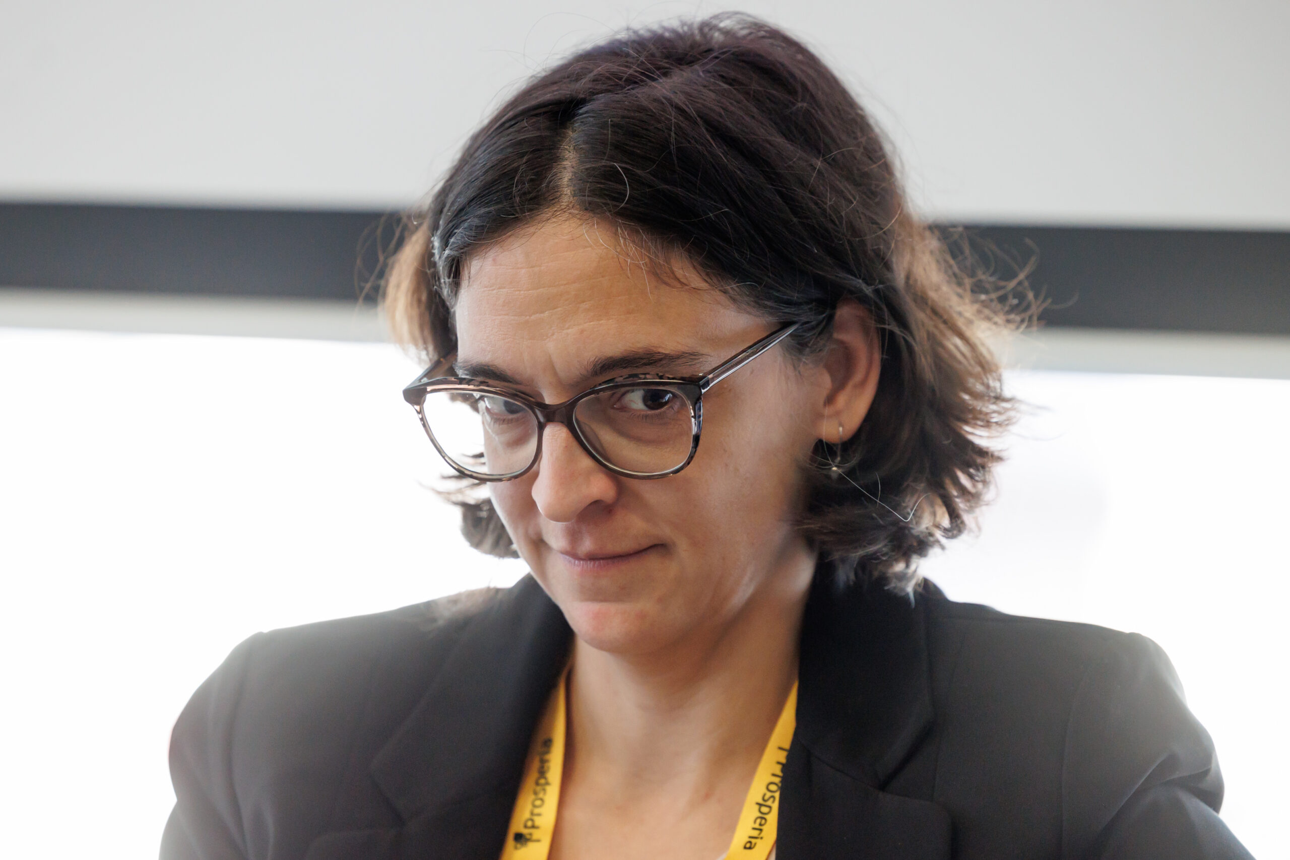 Slika članka