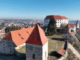 Slika članka