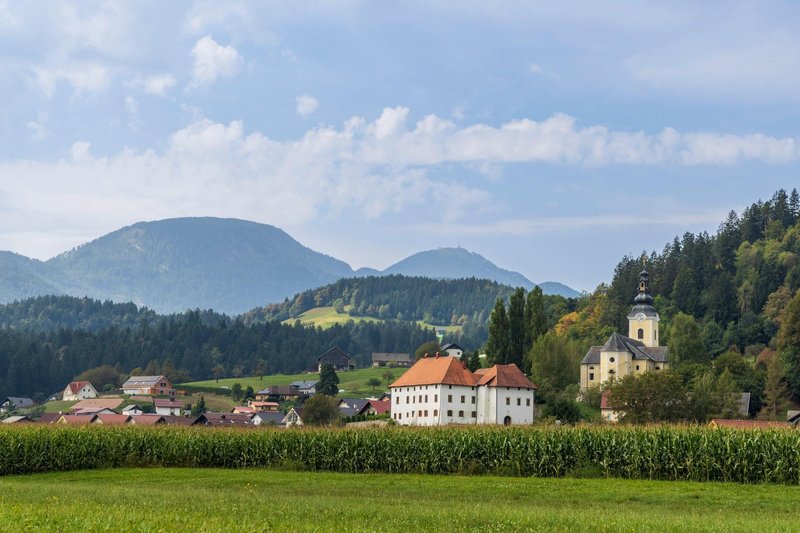 Slika članka