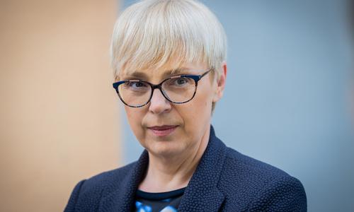 Slika članka