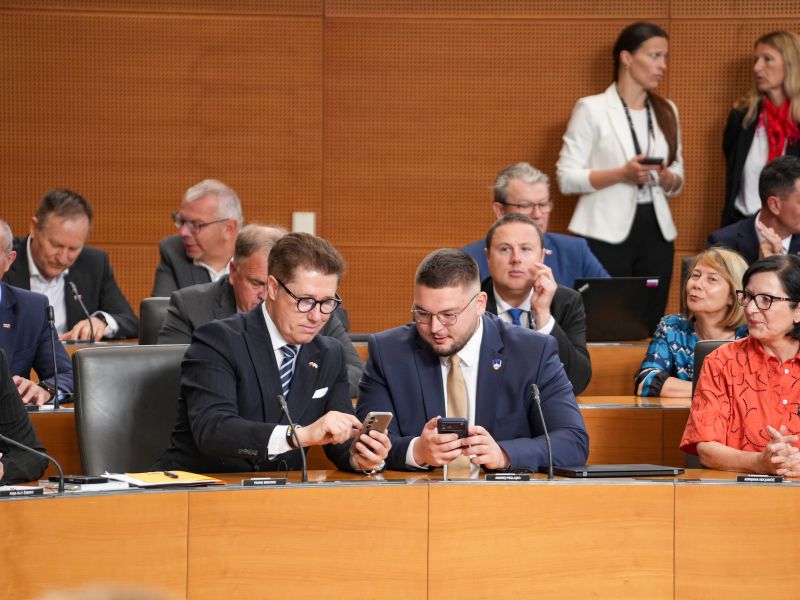Slika članka