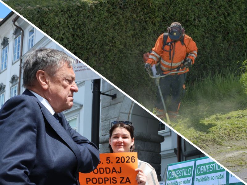 Slika članka