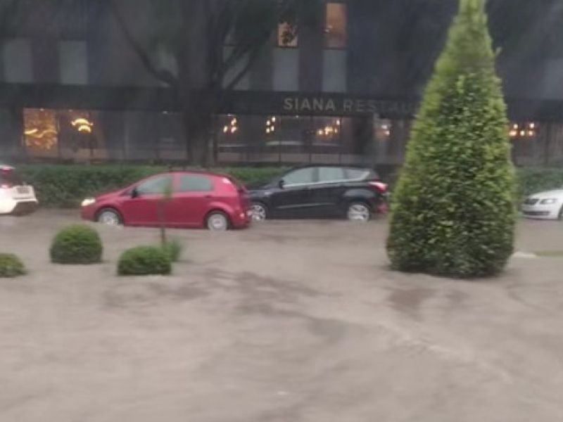 Slika članka