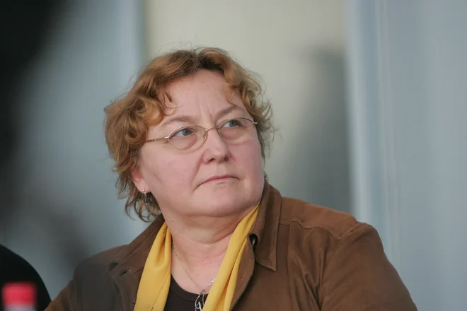 Slika članka