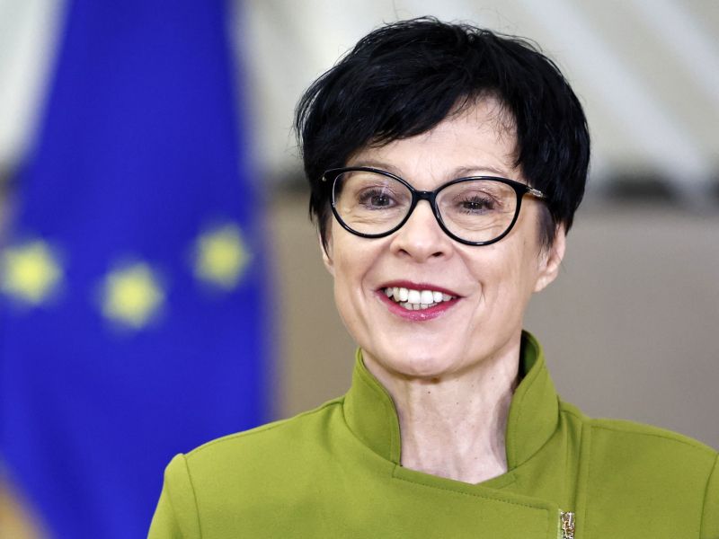 Slika članka