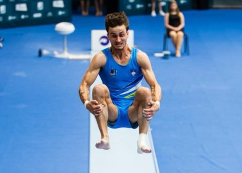 Slika članka