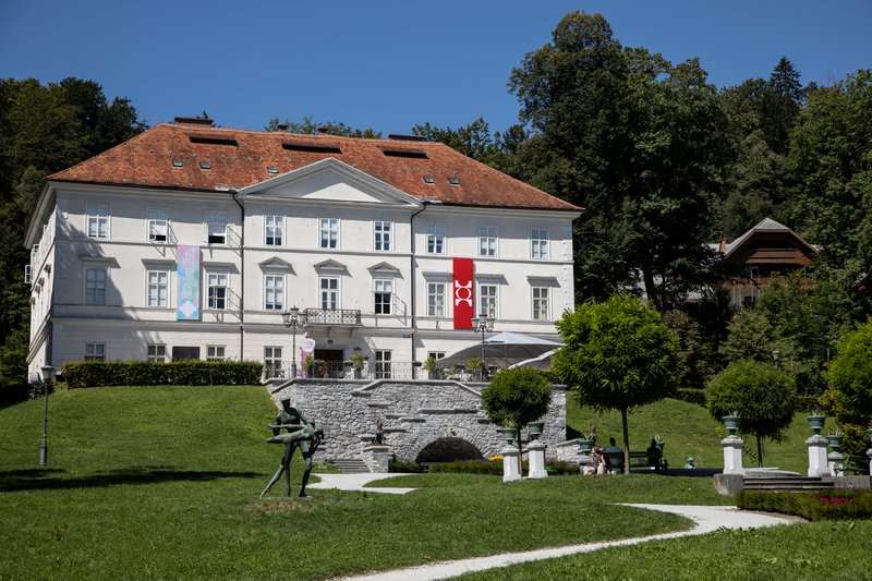 Slika članka