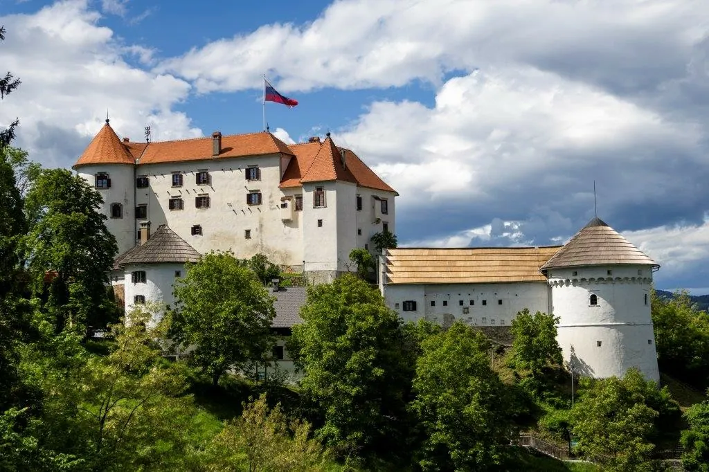 Slika članka