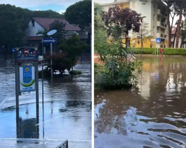 Slika članka