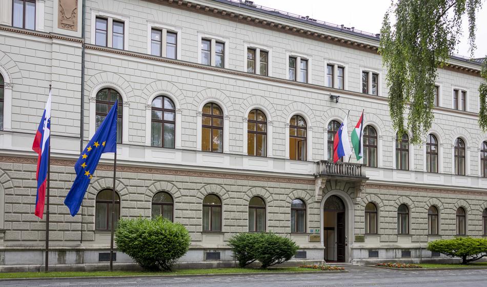 Slika članka