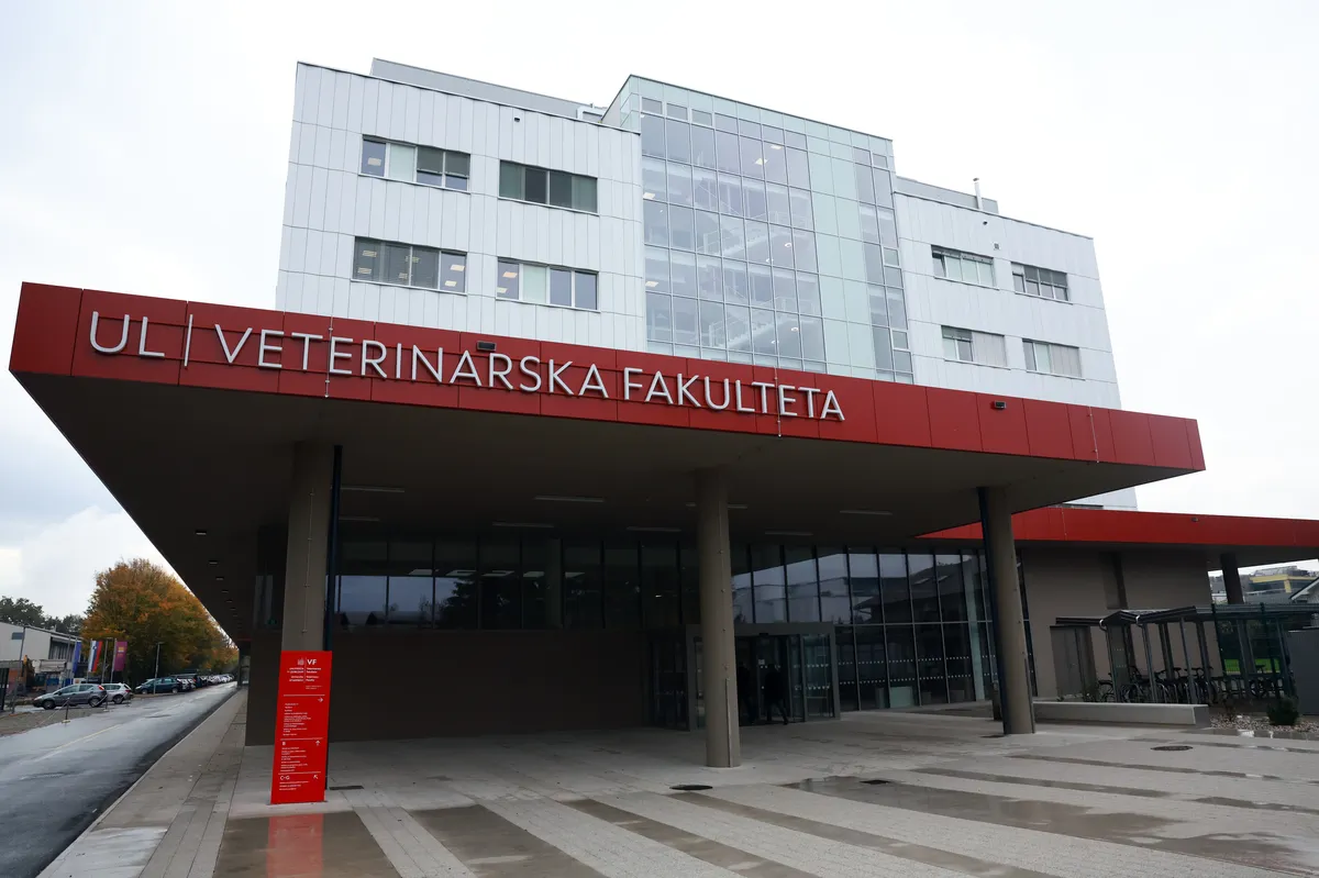 Slika članka