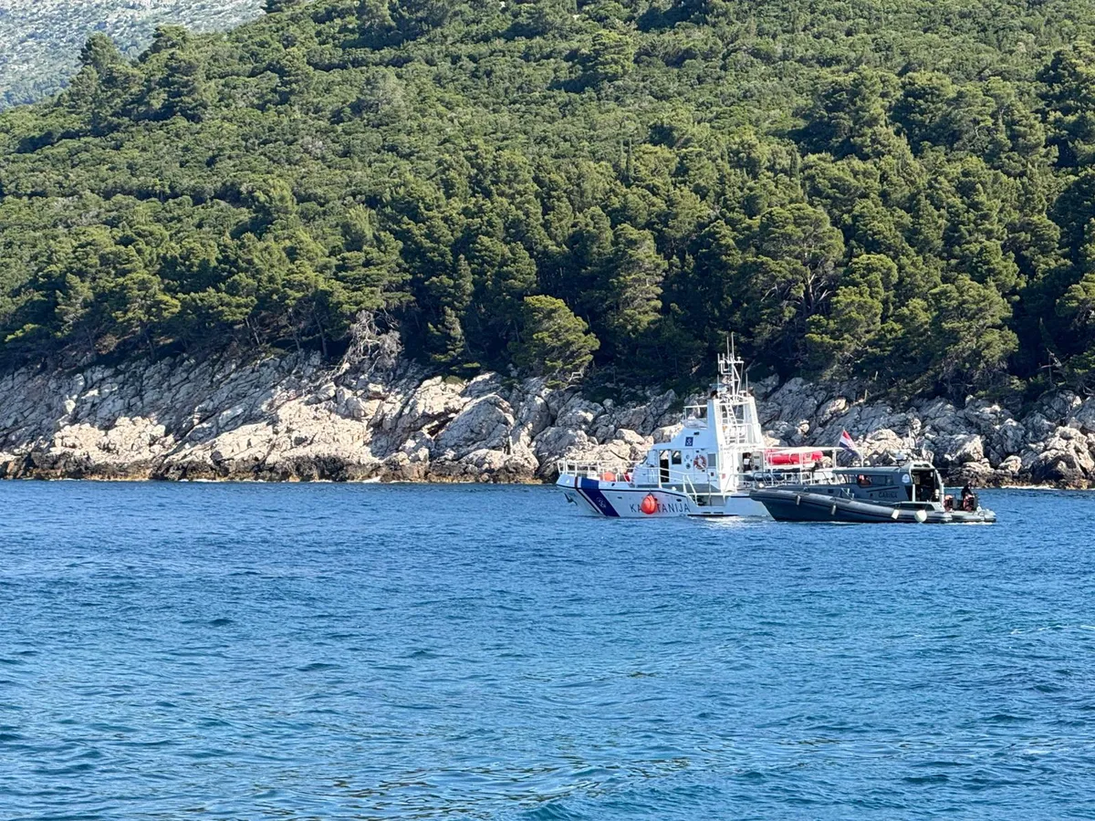 Slika članka