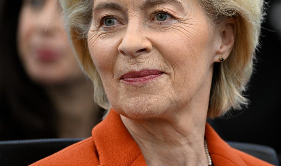 Slika članka