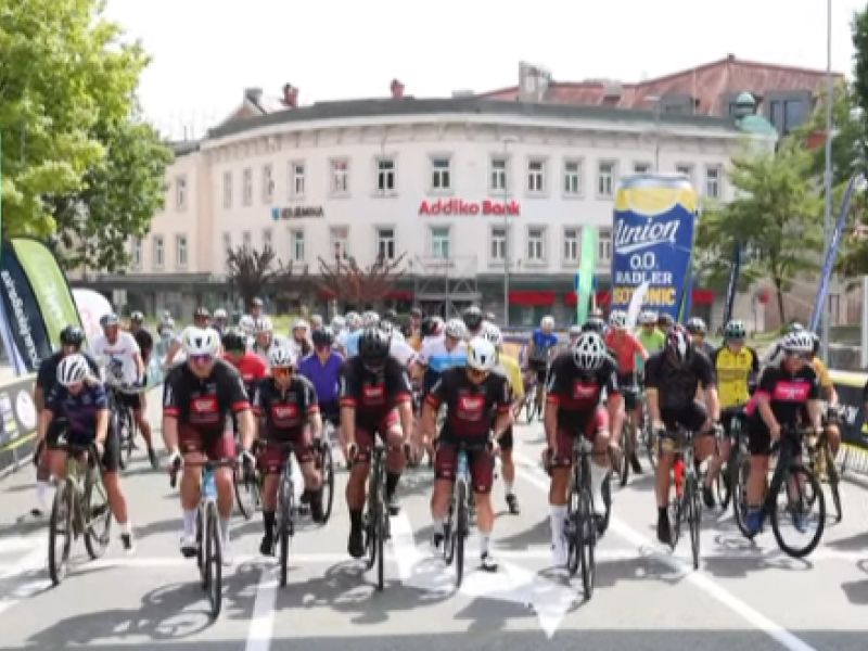 Slika članka