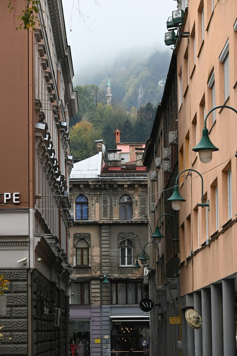 Slika članka